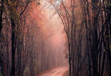 开云体育中国-西雅图海湾者新援适应良好，世俱杯表现备受期待