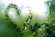 开云体育入口-拜仁大胜！德甲豪门力压对手晋级