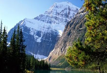 开云体育中国-西雅图海湾者新援适应良好，世俱杯表现备受期待