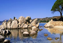 开云APP-阿尔艾因外援训练状态火热，世俱杯淘汰赛关键战