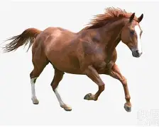 开云体育-马格德堡冒尖成功，实力渐显