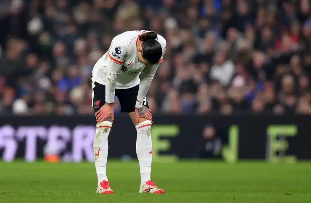 包含利物浦灰頭土臉出局，球迷傷心欲絕的词条