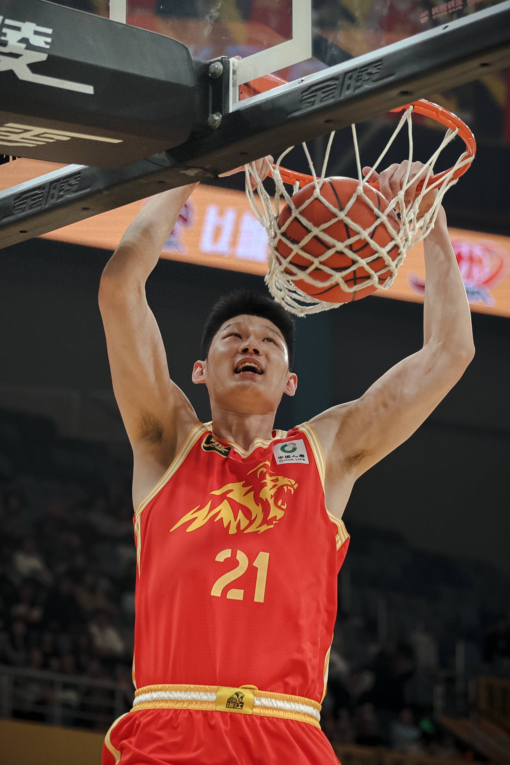 浙江男篮越战越勇，开创佳绩